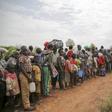 United Nations High Commissioner for Refugees (UNHCR)