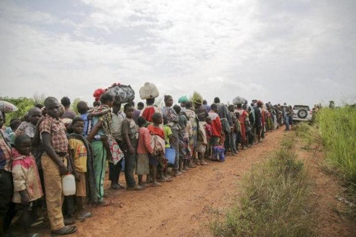 United Nations High Commissioner for Refugees (UNHCR)