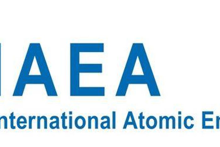 International Atomic Energy Agency (IAEA)