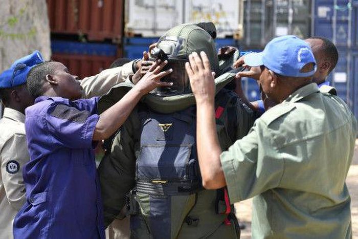 United Nations Mine Action Service (UNMAS)