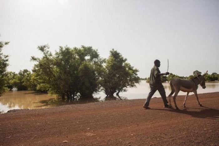 Food and Agriculture Organization (FAO)