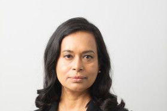 Development Partners International (DPI)