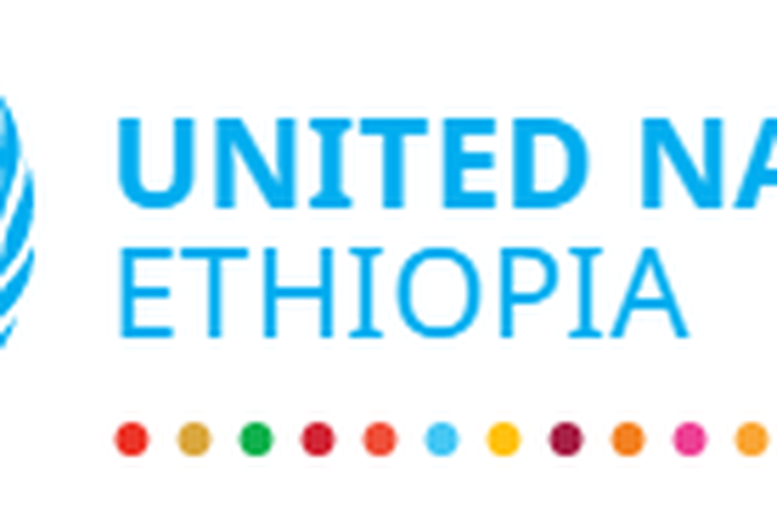 UN Country Team (UNCT), Ethiopia