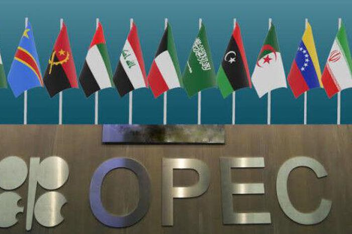 African Energy Chamber