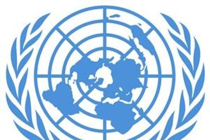 United Nations Support Mission in Libya (UNSMIL)