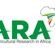 African Development Bank Group (AfDB)