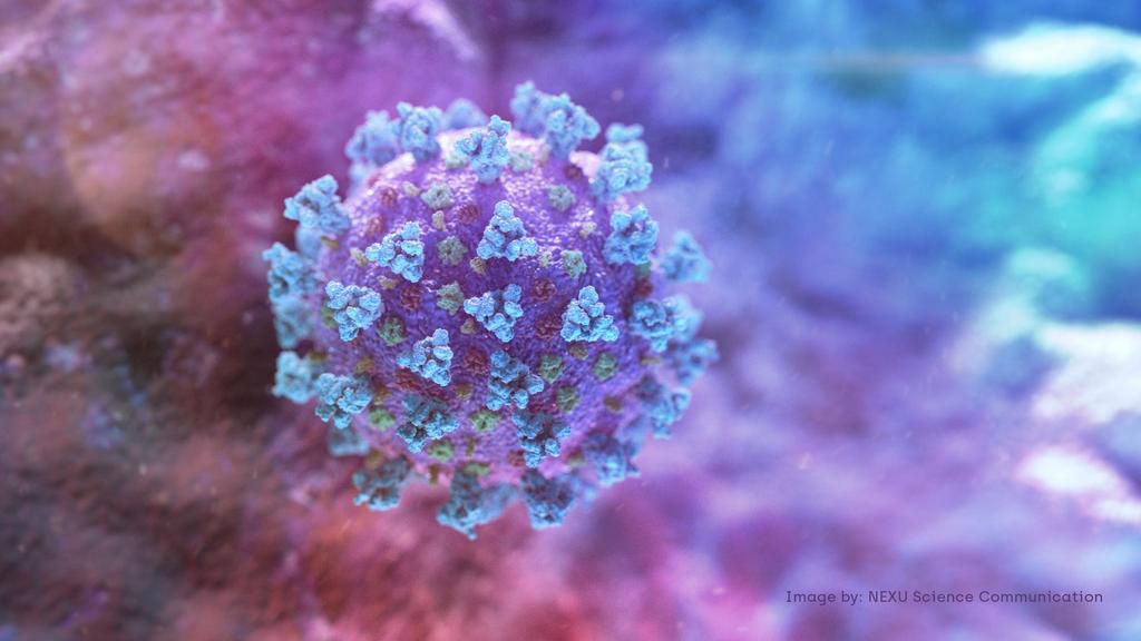 FILE PHOTO: A computer image created by Nexu Science Communication together with Trinity College in Dublin, shows a model structurally representative of a betacoronavirus which is the type of virus linked to COVID-19, better known as the coronavirus li...