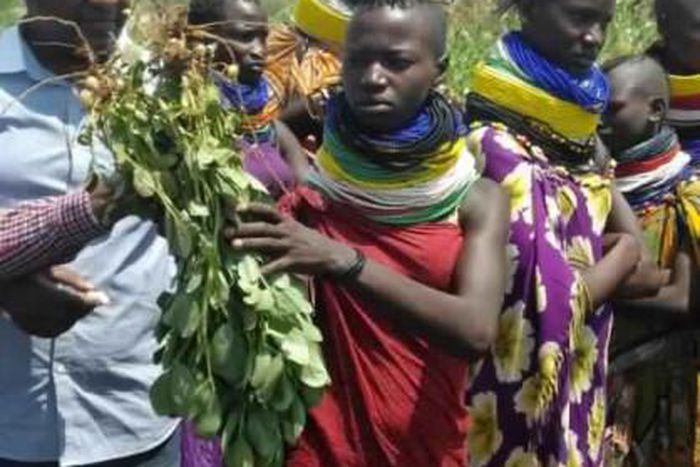 Food and Agriculture Organization (FAO)