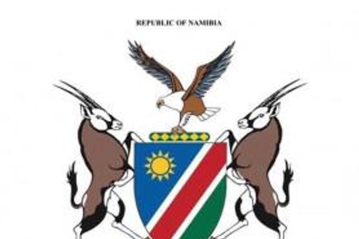 Ministry of Health and Social Services, Namibia