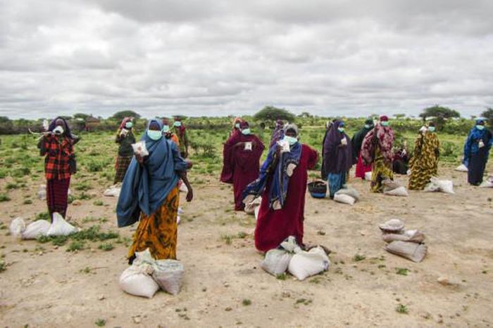 Food and Agriculture Organization (FAO)