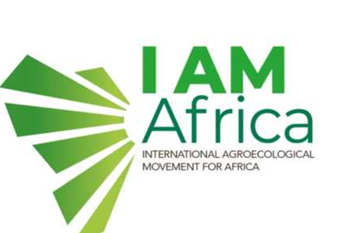IAM Africa