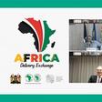 African Development Bank Group (AfDB)