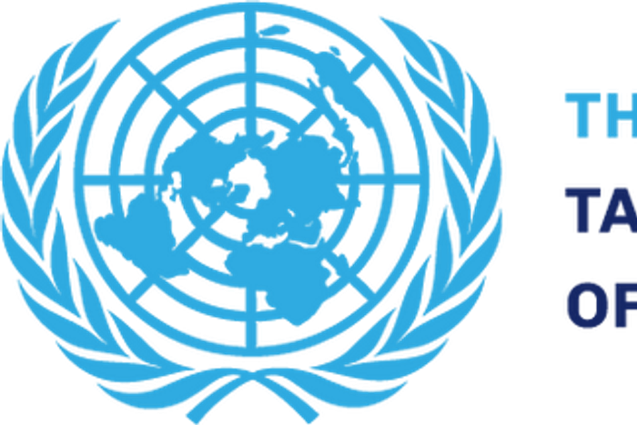 UN Secretary-General’s Task Force on Digital Financing of the Sustainable Development Goals