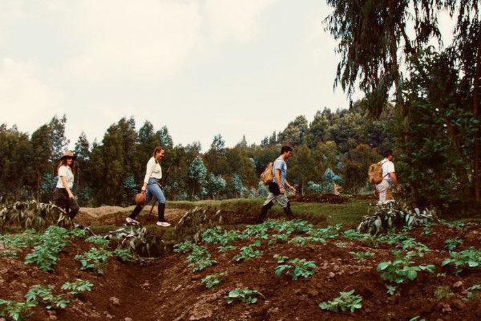 The House of DreamMaker