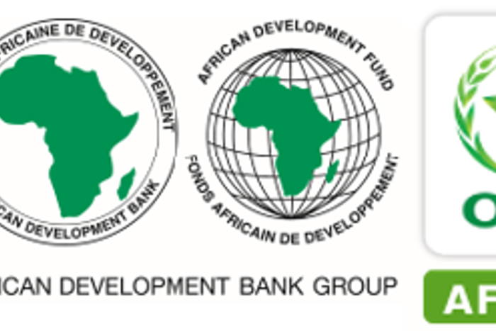 African Development Bank Group (AfDB)