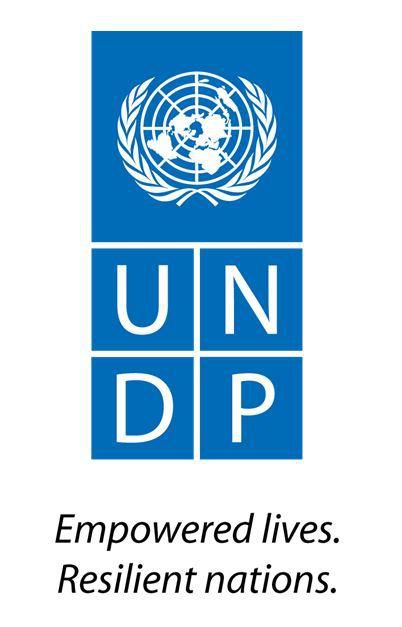 United Nations Development Programme (UNDP)