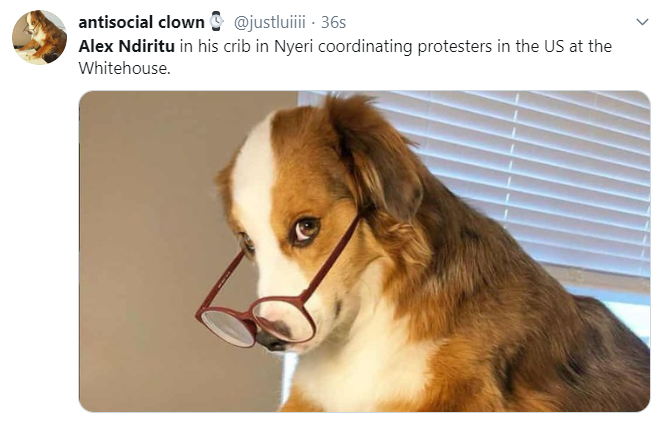 Meme on Alex Ndiritu