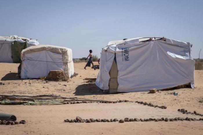 United Nations High Commissioner for Refugees (UNHCR)