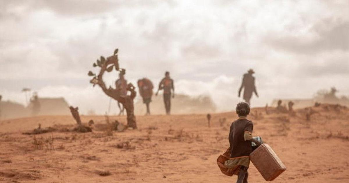 Unprecedented hunger to follow in wake of the climate crisis, WFP calls ...