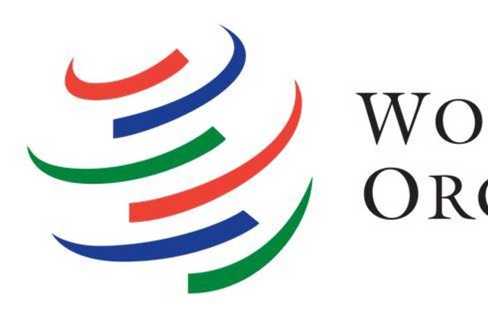 World Trade Organization (WTO)