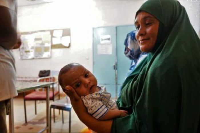 International Organization for Migration (IOM)