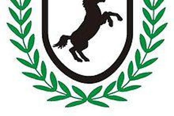 Nigeria Rugby Football Federation (NRFF)