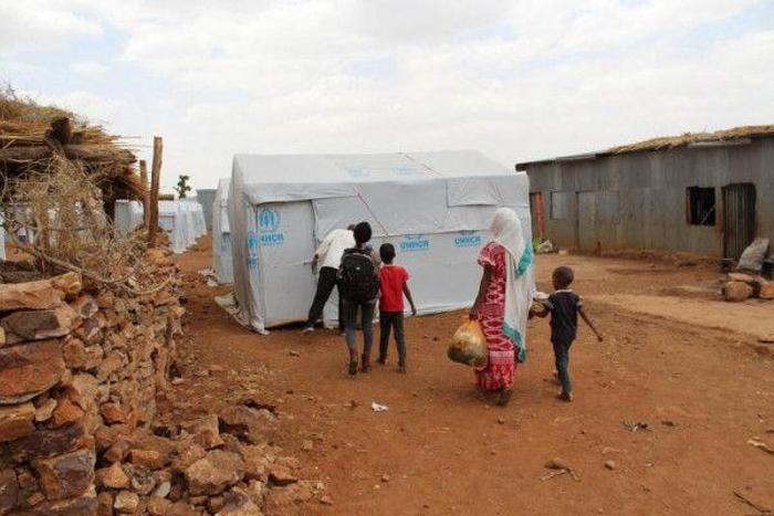 United Nations High Commissioner for Refugees (UNHCR)