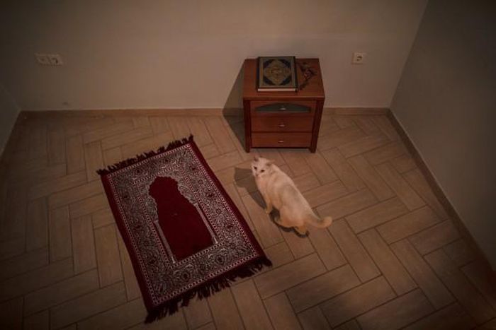 Canon Central and North Africa (CCNA)