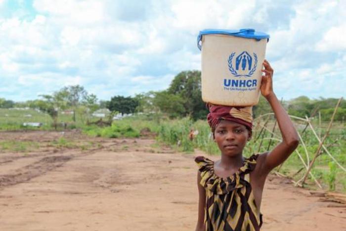United Nations High Commissioner for Refugees (UNHCR)