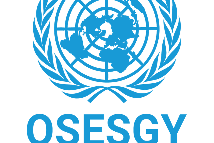 Office of the Special Envoy of the Secretary-General for Yemen (OSESGY)
