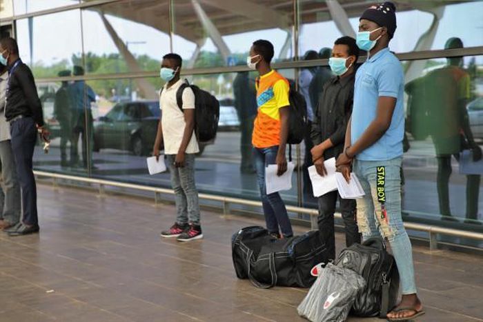 International Organization for Migration (IOM)