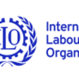 International Labour Organisation (ILO)