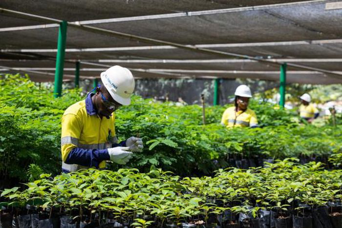 Perseus Mining Ltd.