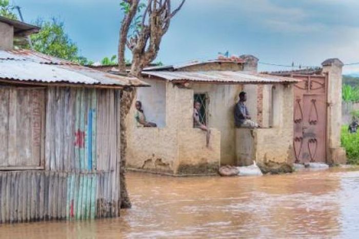 International Organization for Migration (IOM)