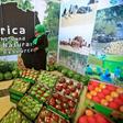 African produce on display at the UN's Food and Agriculture Organization regional conference in Khartoum