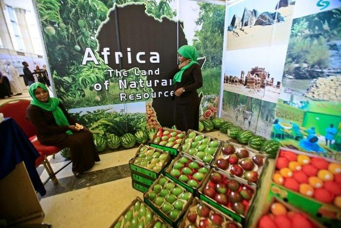 African produce on display at the UN's Food and Agriculture Organization regional conference in Khartoum