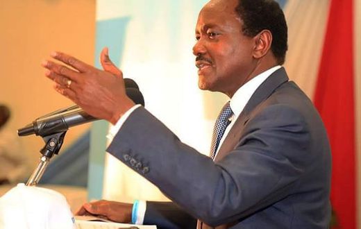 Wiper leader Kalonzo Musyoka