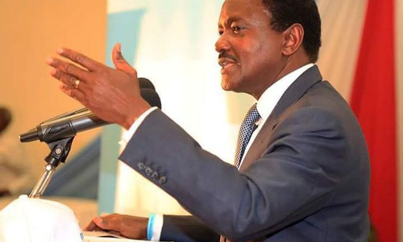 Wiper leader Kalonzo Musyoka