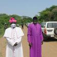 United Nations Mission in South Sudan (UNMISS)