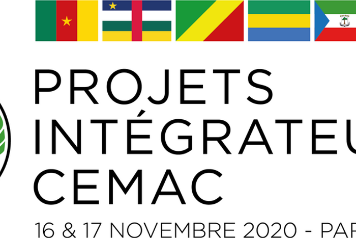 CEMAC (Economic and Monetary Community of Central Africa)