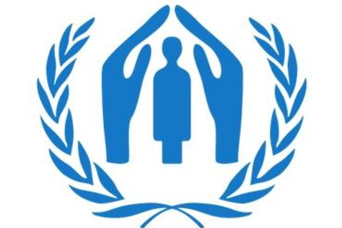 United Nations High Commissioner for Refugees (UNHCR)