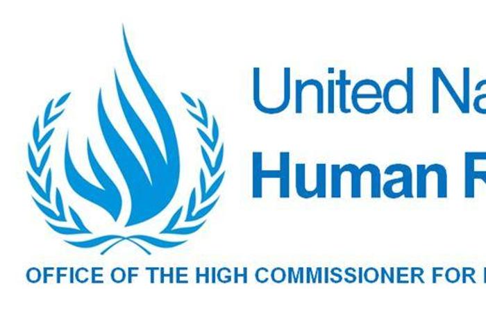 Office of the UN High Commissioner for Human Rights (OHCHR)