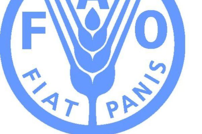 Food and Agriculture Organization (FAO)