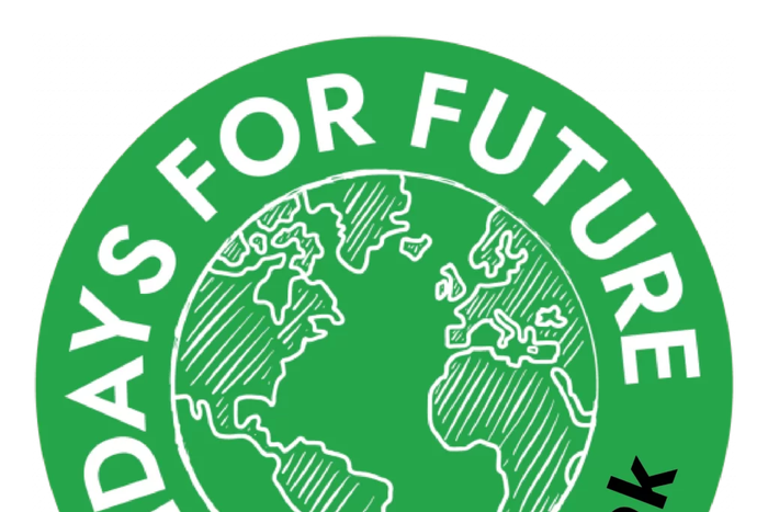 Fridays for Future Namibia
