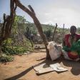 United Nations High Commissioner for Refugees (UNHCR)