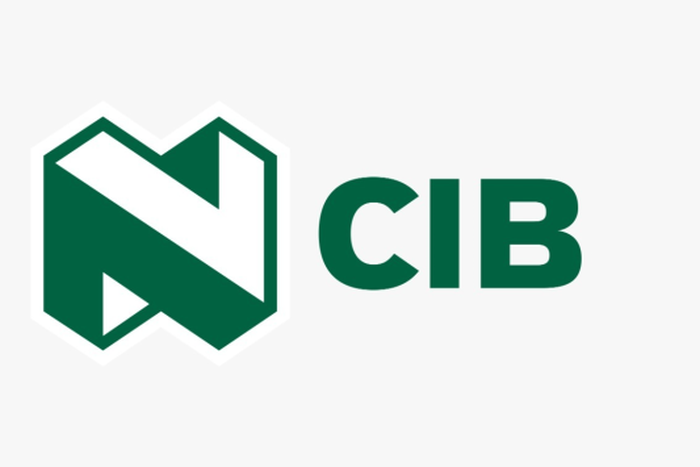 African Energy Chamber