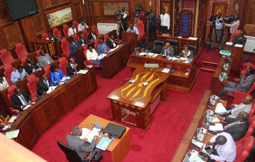 File image of a session in Kenya's Senate
