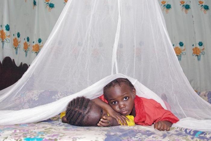Children under a mosquito net, one of the preventative measures against malaria (Net photo)