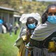 Office for Coordination of Humanitarian Affairs (OCHA)