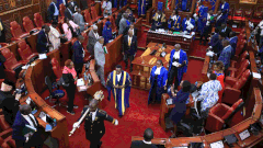 Senate adjourns debate on revenue sharing formula in protest of alleged arrest of Senators Malala, Langat, and Lelengwe